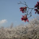 동부여성문화회관 이미지