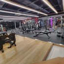 [노원구][노원구]노원구 프리미엄헬스장 MVgym 헬스골프 GX 종합센터 헬스트레이너 구인합니다 이미지