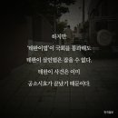 태완 카카오 검색결과