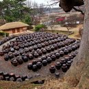 명재농장 이미지