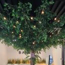 반피나(banpina) 이미지