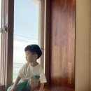 열무열차 이미지