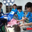 해양메디칼