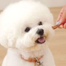 페피밀 이미지