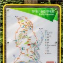 금평수목원