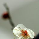 향기바람 네이버블로그