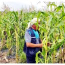 상그린영농조합법인 이미지