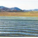 신월주민운동장 이미지