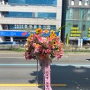 유온달포장 율하점