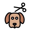 돌돌이네 이미지