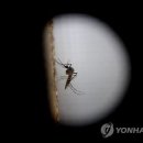 (주)지카 이미지