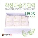 착한 다슬기 이미지