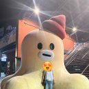 박콘 | 큰일났다 벌써 일요일이야 버스 안에서 와르르 쏟아붓는 일상 포토덤프🛒