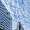 삼주1공인중개사사무소 이미지