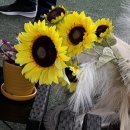 소구월사거리 이미지