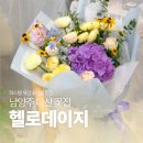 남양중앙로 L | 다산꽃집 헬로데이지 다산에서 가장 많은 생화를 보유한 곳