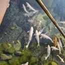 현진2농장 이미지