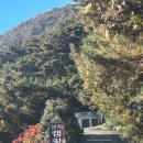 섬지캠핑장 | 구례 섬지캠핑장 가을겨울캠핑 전 사이트 리뷰 캠핑메뉴 추천