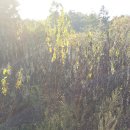 행자농장 이미지