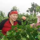 인숙농장 이미지