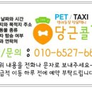 당근콜펫 이미지