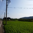 집현면1 이미지