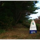 청소년수련마을보람원 티스토리