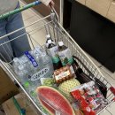 대학애견용품 | 경주 한옥 독채 풀빌라 풀앤문한옥스테이 내돈내산 솔직후기