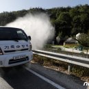 파주양돈단지(1) 이미지