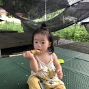 마장2리 마을회관 네이버블로그