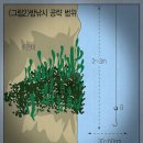 낮 벵에돔낚시와 밤 벵에돔낚시 이미지