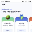 케이뱅크 앱테크 돈나무 키우기 분석 및 후기