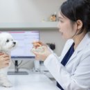 송림동물병원 이미지