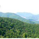 고산자연휴양림 이미지