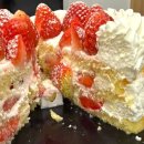 시루가 | 성심당 케익부띠끄 롯데백화점 딸기시루가 없어서 구매한 부띠끄 생크림 후기