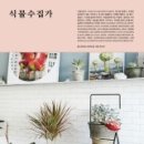 식물로부터 이미지