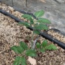 동규농장 이미지