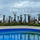 포항 감성 캠핑장 포라카이캠프닉,내돈내산 솔직후기
