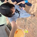 댕신나게 | [2025.08.09] 피원하모니 콘서트에 다녀왔DUH요 l P1ustage H : MOST WANTED 첫콘 후기