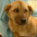 박병일농장 이미지