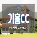 삼남개발(주) 기흥컨트리클럽 이미지