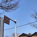 놀당스테이 이미지