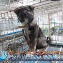 산마루로 이미지