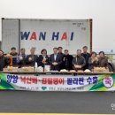 낙산배
