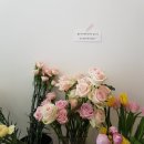 비플레르
