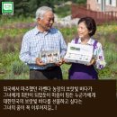 국제허브아카데미 이미지