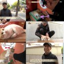 김광석 농장 이미지