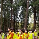 계룡산유아숲체험원 이미지