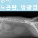 오산못 화장실 이미지