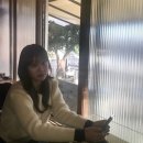 제주호시담 | 빌려온 고양이 같이